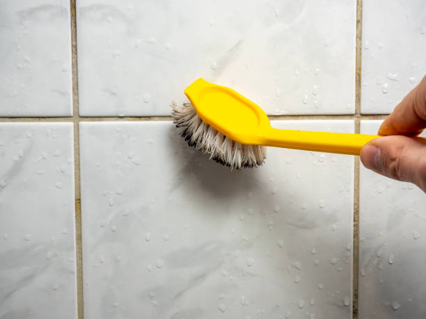 Best Mold Testing  in Paul, ID
