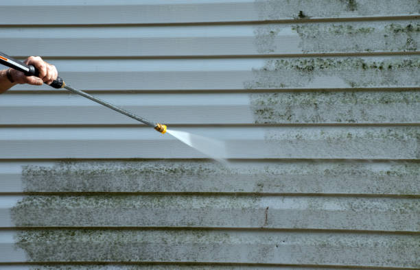 Certified Mold Removal in Paul, ID