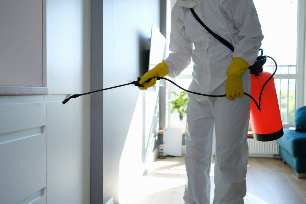 Best Certified Mold Removal  in Paul, ID