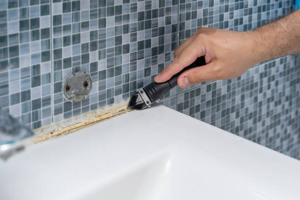 Best Office Mold Removal Services  in Paul, ID