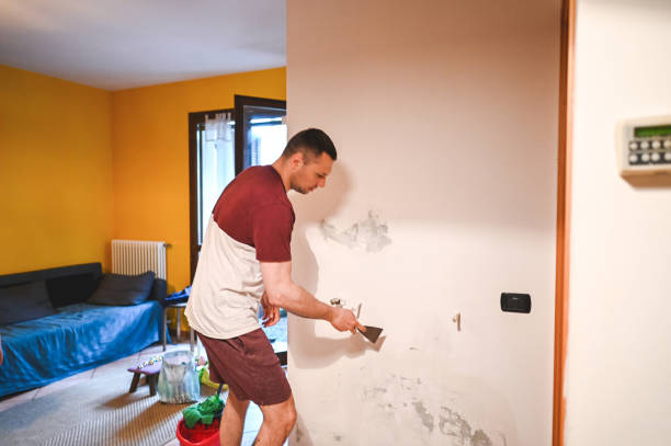 Paul, ID Mold Removal Company